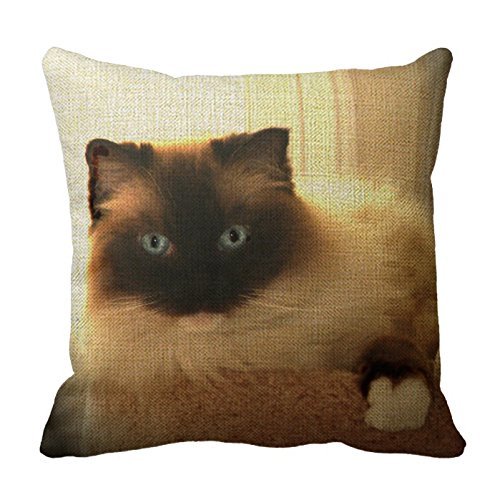 Romantichouse Cotton Linen Square Decorative Kitty Cat Cats Ragdoll Ragdolls Blue Eyes Pillowcase