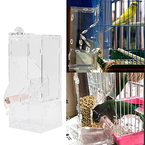 Comederos Autom  ticos para p  jaros Alimentador de p  jaros Acr  lico transparente Accesorios de jaula de loro