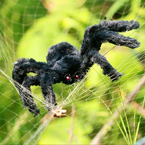 HAPPYQUDA Large Black Spider Halloween Decoration Haunted House Prop Indoor Outdoor Wide 30/75/125cm reviews HAPPYQUDA Large Black Spider Halloween Decoration Haunted House Prop Indoor Outdoor Wide 30/75/125cm
