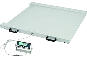 SOEHNLE PROFESSIONAL Balance pour fauteuils roulants/Plateforme surbaissée 6808 Max. 300kg - 100g