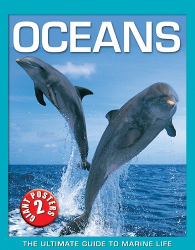 Oceans (Ultimate Guide)