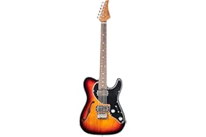 EART Guitars E-TT Semi Hollow Humbucker Pickups Fixed Bridge Electric Guitars Sunburst