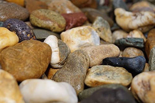 rockinnature Irische Strandkieselsteine 20 kg, Garten-Deko - 7