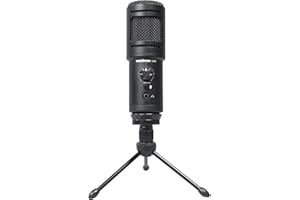 WOODBRASS UM2 Micro Streaming, Podcast, Videoconferenze, Gaming. Microfono USB -C Plug & Play autonomo per PC/Mac / PS4 / PS5 / Xbox ideale per registrazione e Live Twitch, Discord, Youtube