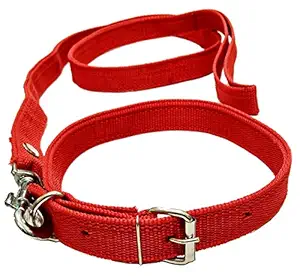 VRCT Dog Collar & Leash (Medium, Multi Color)