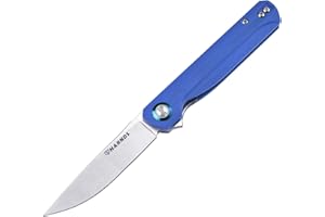 HARNDS Wind Coltello Pieghevole Tascabile Lama in Acciaio Sandvik con Manico G10, Coltello Serramanico Integrato Cuscinetto a Sfere per Caccia, Campeggio, Sopravvivenza(Blu)