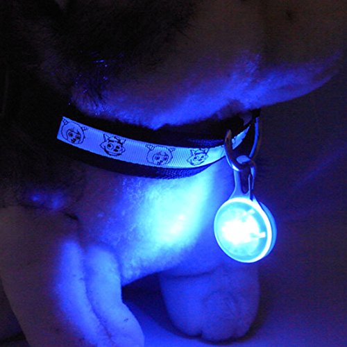 Hot-Sale-Pet-Dog-Safety-Collar-LED-Light-up-Flashing-Clip-Collar-On-Glow-Light-In-The-Dark