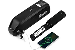 EIFDUHP Batteria per Bicicletta Elettrica, Batteria Ebike 36V 48V / 22.5Ah-10Ah per 1500W-50W Motore Bici, con Base 4Pin/5Pin, Caricabatterie e Blocco Sicurezza (48V 13AH(50-1000W) 4 Pin)