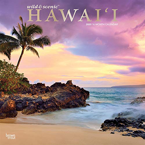 Télécharger Wild & Scenic Hawaii 2020 Calendar: Foil Stamped Cover Livre eBook France