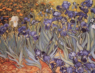 10 - 15 EUR Irises by Vincent Van Gogh Poster Stampa, 20 x 16