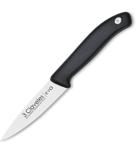 Lacor Écailleur à Poisson Inox 27,5 Cm - Ustensile Cuisine Professionnel Qualité Espagnole
