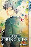 Image de Blue Spring Ride 12