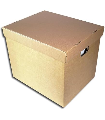 karton cd aufbewahrung Protected Rutsche für 50 CDs (10 Stück) Musikinstrumente & DJ-Equipment Gewicht:120 g ikea aufbewahrung kinderzimmer trofast Trüffel