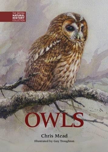 Owls: 1 (The British Natural History Collection)