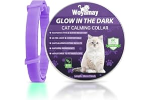 Woyamay Collar Calmante para Gatos, Luminoso Collares Calmantes de Feromonas Antiansiedad Natural, Regulable Impermeabl Collares Calmantes para Gatos Pequeños, Medianos y Grandes, Paquete de 1 Morado