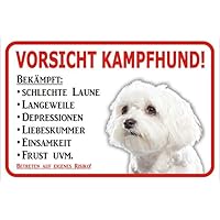 Suchergebnis Auf Amazonde Für Malteser Hund Wand