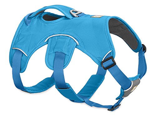 Preisvergleich Produktbild Ruffwear Mehrzweck-Hundegeschirr, Raues Gelände, Arbeitshunde, Miniatur Hunderassen, Größenverstellbar, Größe: XXS, Blau, Web Master Geschirr, 30102-407S2