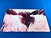 Price comparison product image Yugioh Playmat Red Eyes Darkness Dragon - Custom YuGiOh MTG Mousemat Playmat