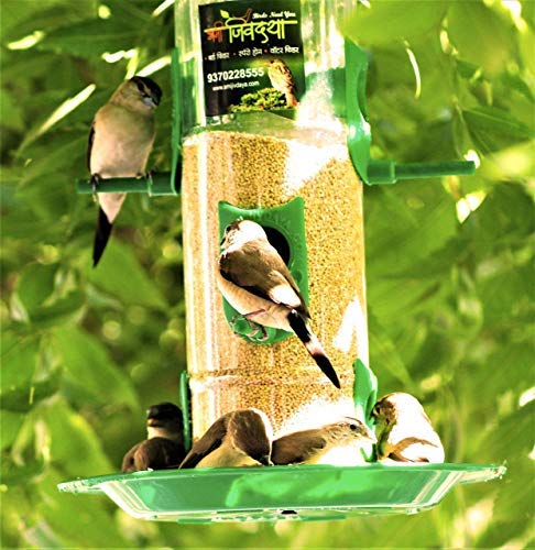 Buy Amijivdaya Large Bird Water Feeder 1 75 Ltr Online At Low