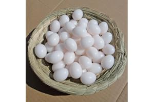 CICIXIXI 20 Uova per Piccioni,Uova di Piccione,Simulazione di Uova di Piccione in Plastica Solida,Uova in Plastica per Piccioni, Strumento Agricolo per Pollame