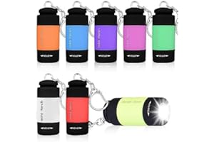 GOMETY 8 Stücke Mini LED Taschenlampe Kinder, Farbige USB Wiederaufladbare Silikonbeschichtung Wasserdicht LED Taschenlampe Set mit Schlüsselbund (8, Weiß Blau Grün Gelb Rosa Orange Lila Rot)