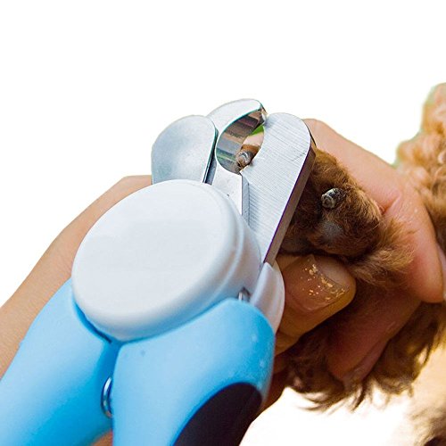 Animal Professionelle Krallenschere für Haustiere Schutzvorrichtungfür und Nagelknipser für mittelgroße & große Hunde und Katzen - 6