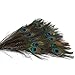 Museya 50pcs 25-30cm Beautiful Natural Peacock Tail Feathers Eyes Feathers Decorations for Craft /Art /Dress /Hats /Bridal Costume /Party