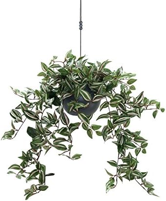 Dekoflower - Artificial Double Wandering Jew Vine 70 CM Cream/Green in Clay Pot