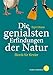 Die genialsten Erfindungen der Natur: Bionik für Kinder by