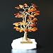 Produktbild heliaden Kleiner Glücksbaum Glücksbäumchen Bernsteinbaum Bernsteinbäumchen VII 9 cm