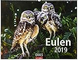 eulen kalender 2019  Eulen - Kalender 2019