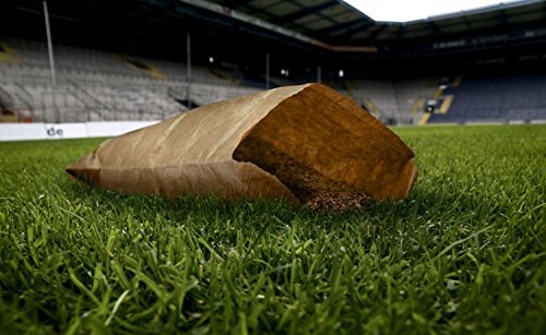 Preisvergleich Produktbild DSC Arminia Bielefeld Rasenmischung