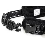 Pettorina-per-cani-di-piccola-e-media-taglia-Imbracatura-cane-riflettente-e-regolabile-in-4-taglie-S-M-L-XL-di-Happilax