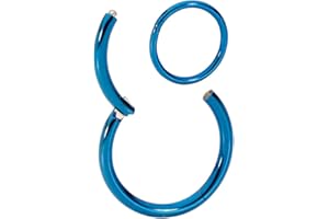 365 SLEEPERS Titanium Implant Grade Nose Rings 20G 18G 16G 14G 12G 10G 8G 6G Septum Jewellery Hinged Segment Ring Body Piercing Hoop Lip Rings Helix Cartilage Rook Earrings Nickel Free Hypoallergenic