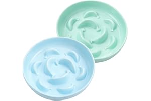 PTOBER Gamelle Chat Anti Glouton Céramique - Lot de 2 Gamelles pour Chats pour Alimentation Lente - Bol Double pour Chat Série Pastel - Compatible Lave-Vaisselle et Micro-Ondes - Bleu et Vert
