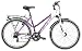 Produktbild Yazoo Devil 2.6 Mädchenfahrrad 26 Zoll 2019 mit Beleuchtung und Schutzblechen, Rahmenhöhe:48 cm, Farbe:lila