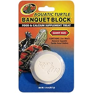 Zoomed Aquatic Turtle Banquet Block Giant Size