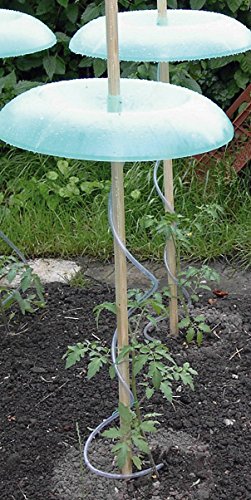 Preisvergleich Produktbild Tomatenhut / Pflanzhilfe-Basis-Set TOMATENHUT BASIC -SET 36100