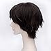 30cm Straight Party Hair Wig Anime Attack On Titan Eren Jaeger Dark brown Short Cosplay Wig
