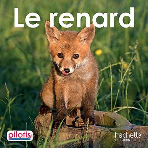 Télécharger Lecture CP - Collection Pilotis - Le Renard - Album - Edition 2019 Francais PDF