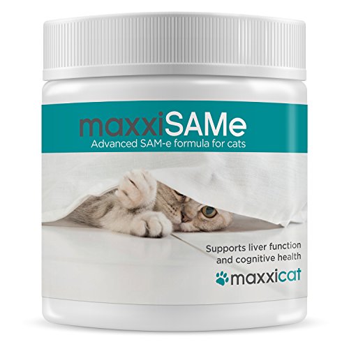 maxxicat - maxxiSAMe Avanzado suplemento Sam-e para Gatos - Ayuda al hígado felino, Las articulaciones & a la Salud cognitiva - 150 g de Polvo - Se suministra con la Comida