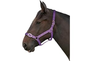 Gallop Basic Nylon Headcollar and Lead Rope Set, Pony Size, Purple