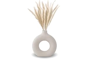 ‎KINGBAR Vase Für Pampasgras, Moderne Deko Kunst Donut Vase Vase Rund Mit Loch Ins Style Vase Weiß Matt Für Home Office Dekor, Geschenk Für Hochzeit Einweihungsparty Feiern, M