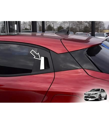 AutoCOVR Cornice Targa In Acciaio Inox Per Alfa Romeo GTV E Spider (916) - 2 Pezzi Per Alzacristalli, Tuning Interno, Metallox Spazzolato