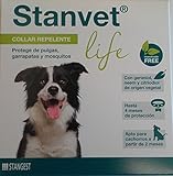 Estos productos harán que tu mascota se sienta sana tanto fuera como por dentro.