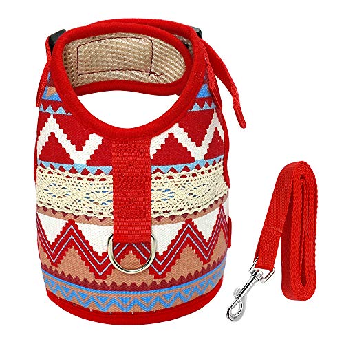Dogkldsf Laisse Pour Chien Harnais Chien Chat Gilet Laisse Ensemble Harnais En Nylon Respirant Laisse 120cm Laisse Pour Chiot Petit Chien Moyen