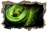 Einfache Montage DesFoli Schlange Python 3D Look Wandtattoo 70 x 115 cm Wanddurchbruch Wandbild Sticker Aufkleber D569