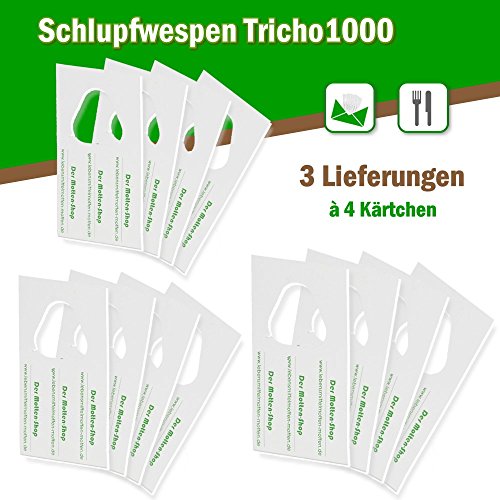 Schlupfwespen gegen Lebensmittelmotten 4 Stück 1000-er Kärtchen 3 Lieferungen