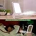 Anself LED Light Cosmetic Makeup Mirror with Mister Sprayer Humidifier
