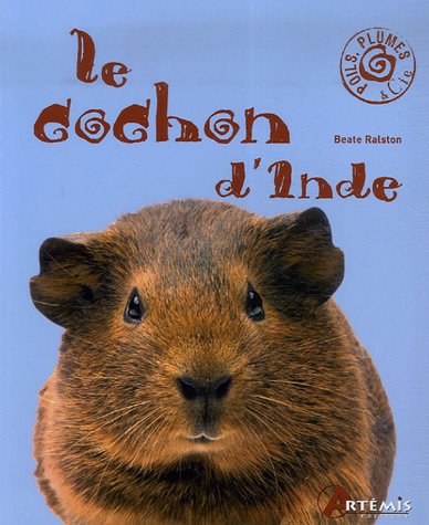 couverture de : COCHON D'INDE (LE)